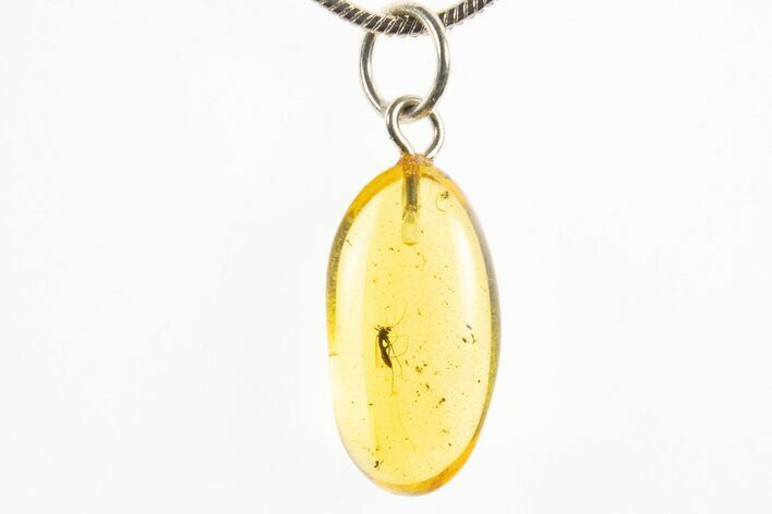 Polished Baltic Amber Pendant (Necklace) - Contains Fly! #328507